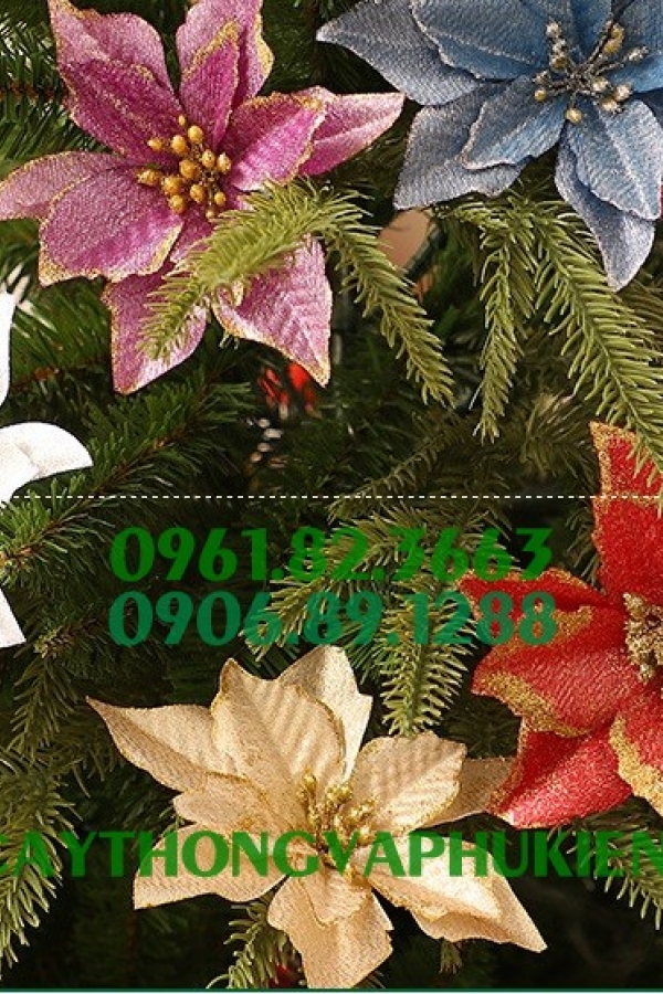 Hoa Trạng Nguyên Cỡ Nhỏ 10Cm Đủ Màu Trang Trí Cây Thông Noel, Phụ Kiện Giang Sinh, Tết Nguyên Đán